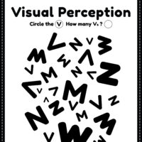 Visual Perceptual Skills Activity