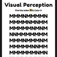 Visual Perceptual Activity Skills
