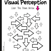 Visual Perceptual Activities Skills