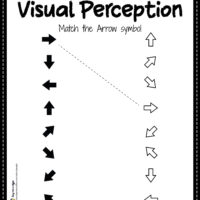 Visual Form Constancy Perceptual Skills